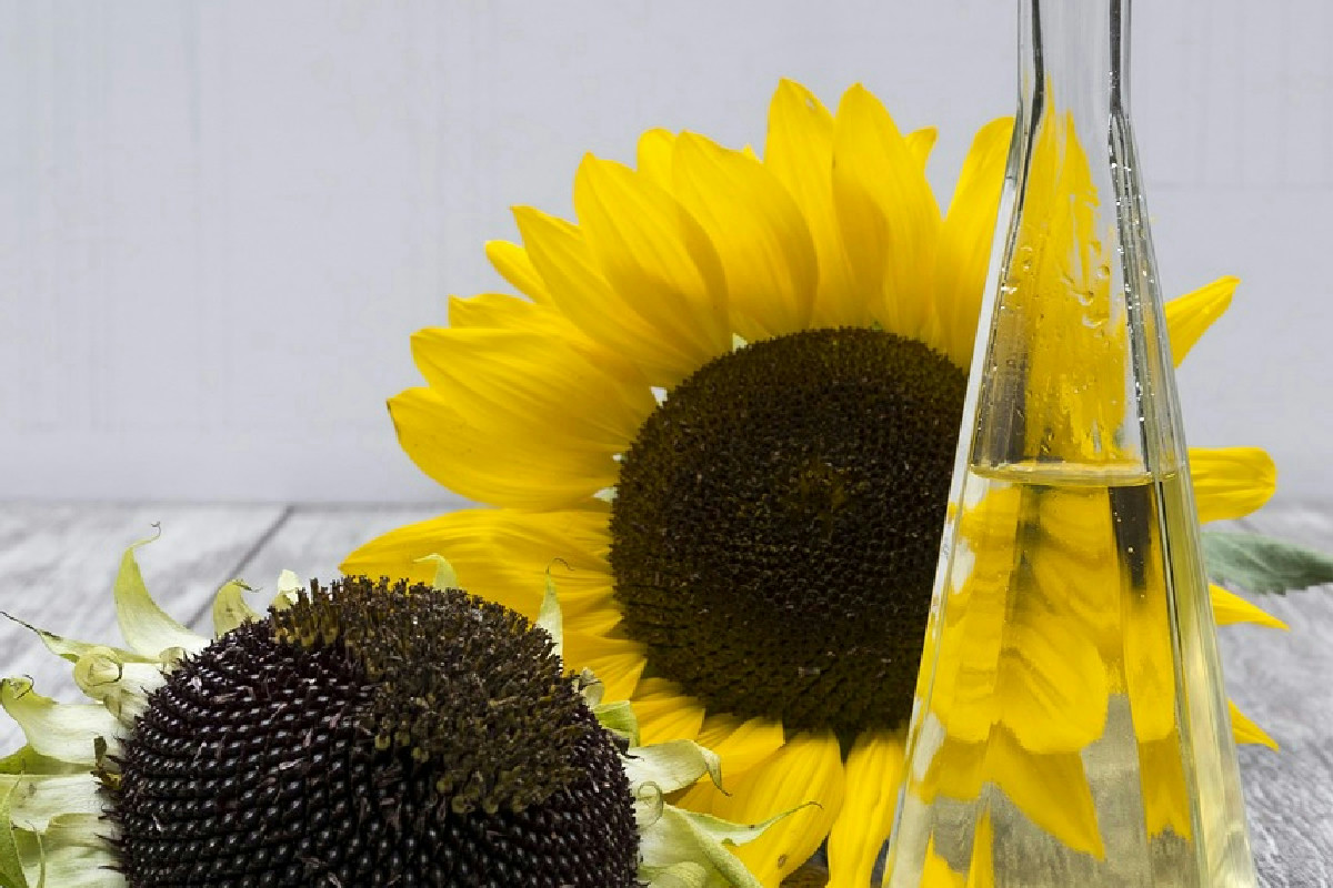 Non rinunciare alla frittura: con queste 3 ricette il pesce resta leggero e irresistibile