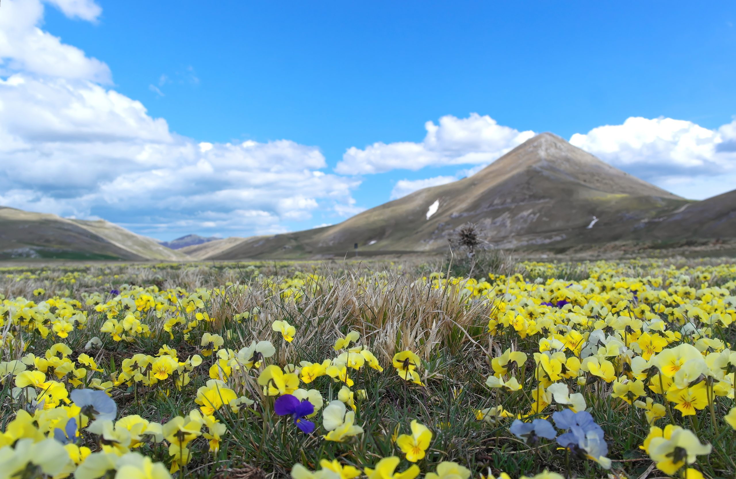 Il Parco del Gran Sasso regala panorami indimenticabili: natura intatta e avventure senza confini