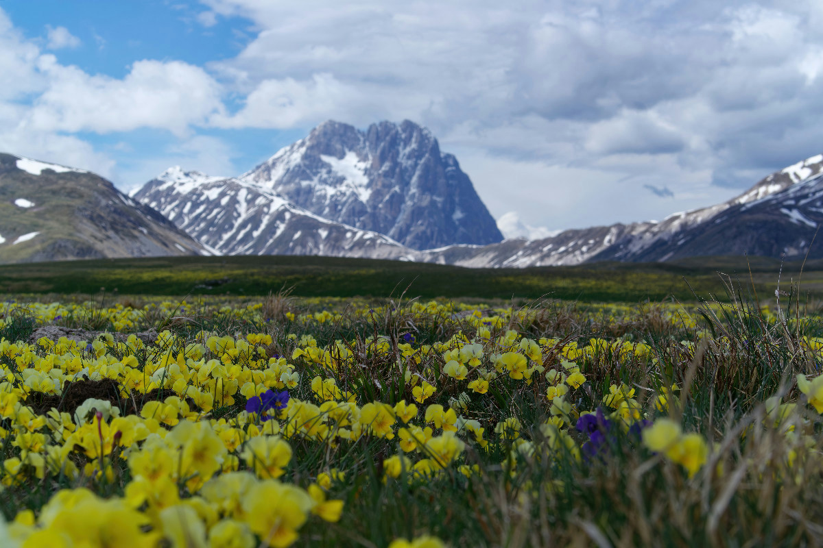 Il Parco del Gran Sasso regala panorami indimenticabili: natura intatta e avventure senza confini