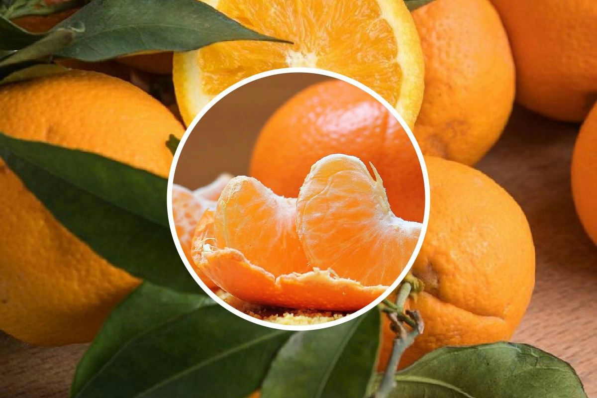 Perché le arance potrebbero costare di più questo inverno, tutti i rincari