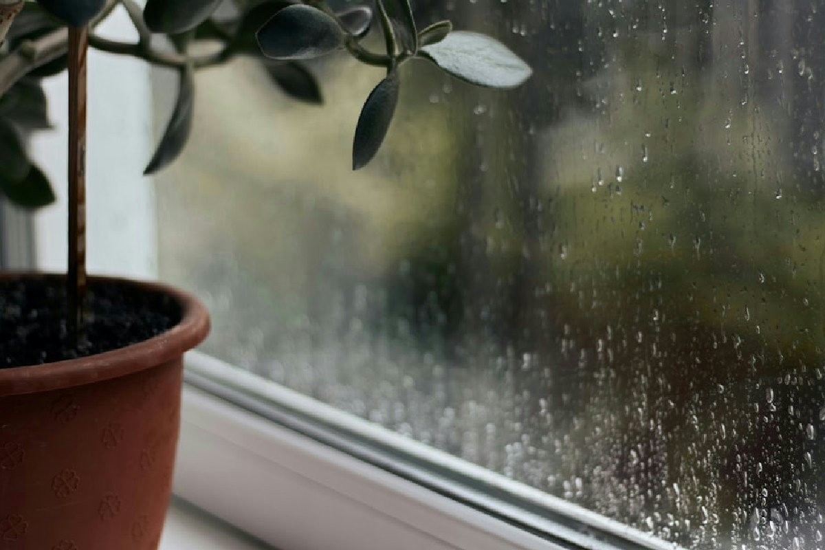 Deumidificatore per l’inverno: guida completa a consumi, efficienza e modelli per ogni ambiente