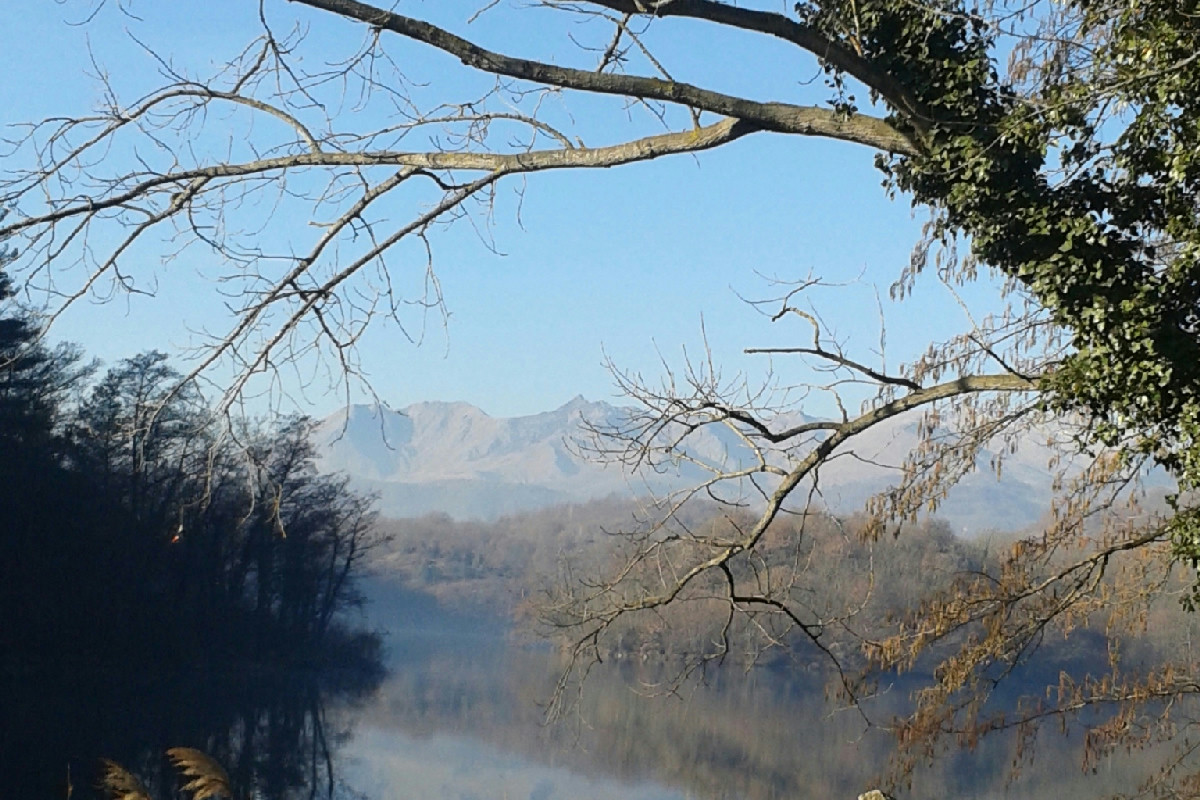 Il Lago di Campagna: un rifugio di pace tra natura incontaminata e acque cristalline