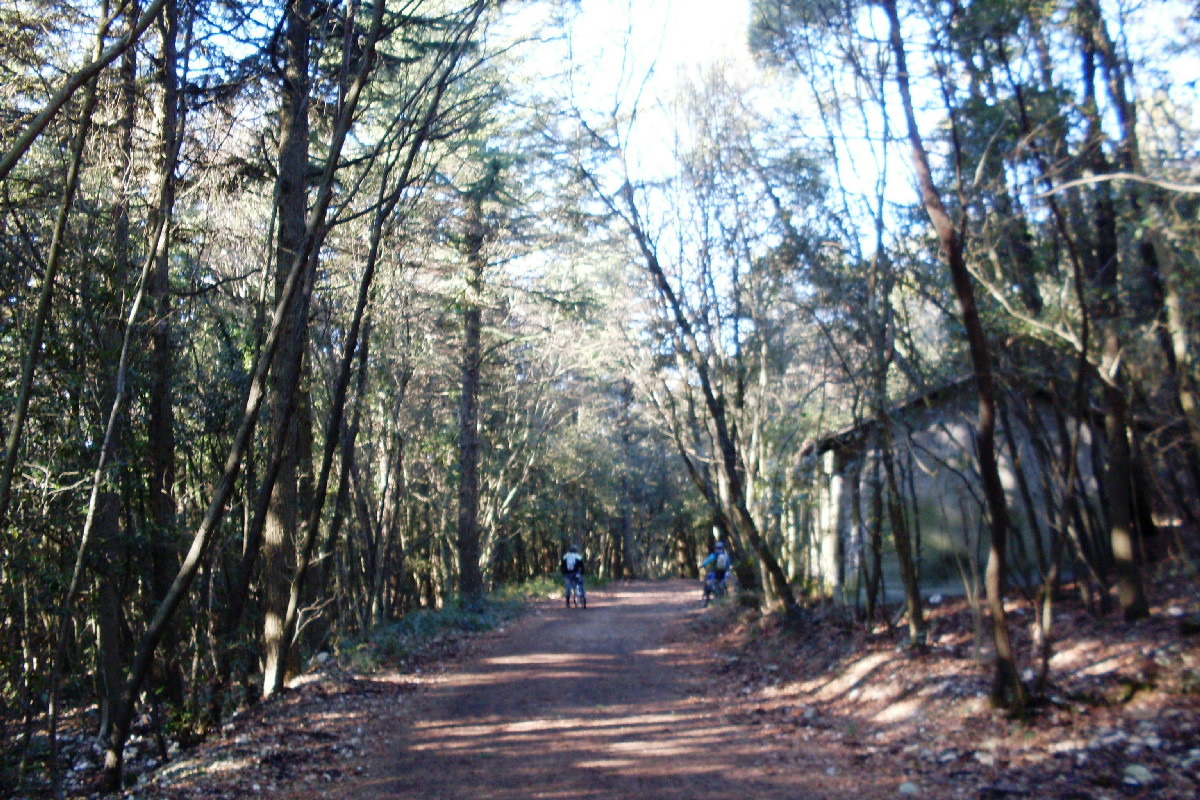 Tra mare e pietra: un borgo unico delle Marche dove il tempo sembra essersi fermato