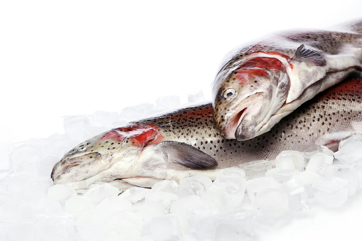 Pesce surgelato di qualità: 5 dettagli sulla confezione che fanno la differenza in cucina